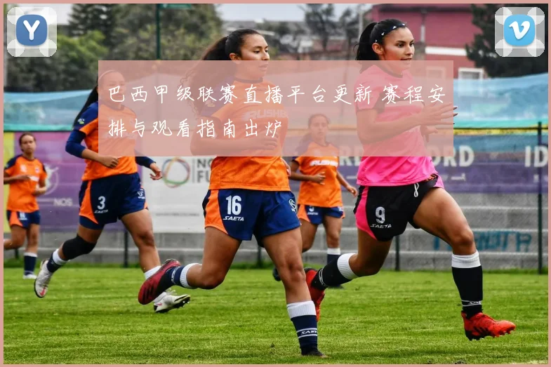 巴西甲级联赛直播平台更新 赛程安排与观看指南出炉